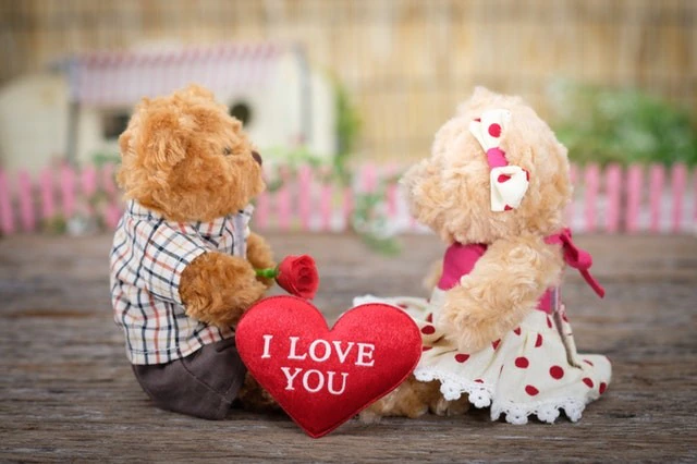 Teddy Day 