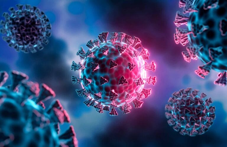 New Corona virus चीनी वैज्ञानिकों ने एक नया बैट कोरोनावायरस खोजा जो इंसानों को संक्रमित कर सकता है