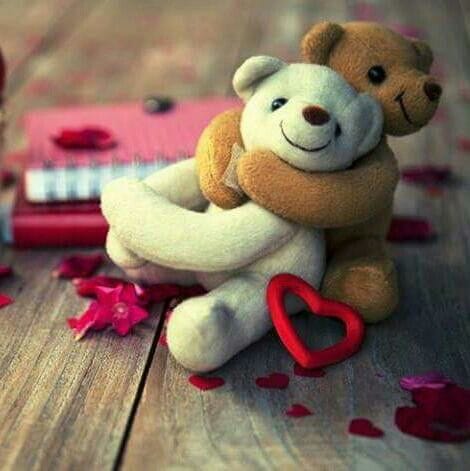 Teddy Day 